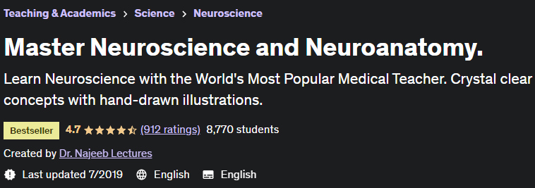 Master Neuroscience and Neuroanatomy.