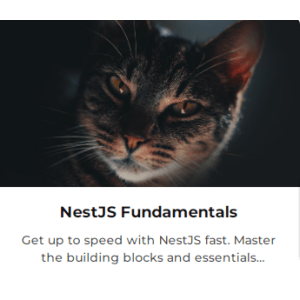 NestJS Fundamentals