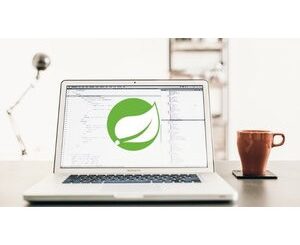 Learn Spring 5 Boot 2 JPA Thymeleaf AOP Web MVC REST