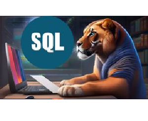 2023 Complete SQL Bootcamp from Zero to Hero in SQL