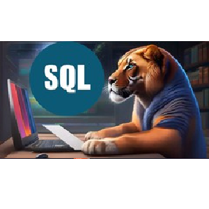 2023 Complete SQL Bootcamp from Zero to Hero in SQL
