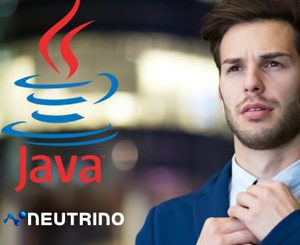 Professional Java Developer Career Starter: Java Foundations