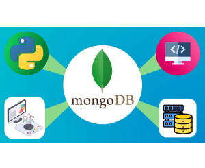 MongoDB Database Developer Course In Python