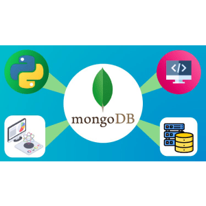 MongoDB Database Developer Course In Python