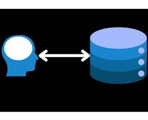 SQL Masterclass: From Zero to Hero with SQL Server (2024)