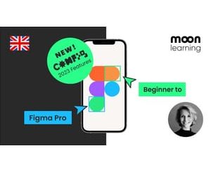 NEW Figma 2024_ Getting started the Beginner to Pro Class