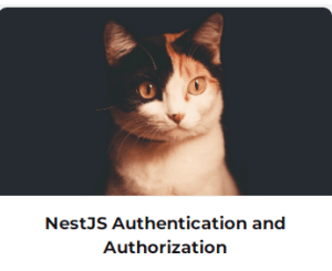 NestJS Authentication and Authorization