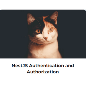 NestJS Authentication and Authorization