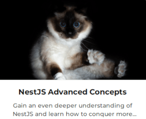 NestJS Advanced Concepts