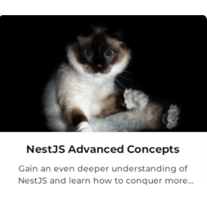 NestJS Advanced Concepts