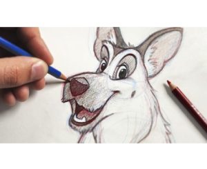 The Ultimate Animal Drawing Course - beginner to advanced