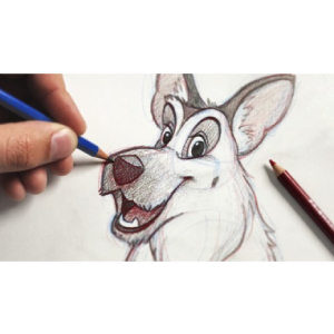 The Ultimate Animal Drawing Course - beginner to advanced