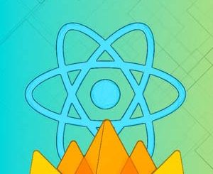 React JS & Firebase Complete Course (incl. Chat Application)