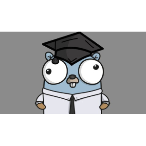 Golang For DevOps And Cloud Engineers