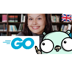 Learn Programming in GO (golang): A Rich Guide for Beginners