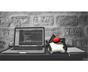 Java In-Depth Become a Complete Java Engineer!