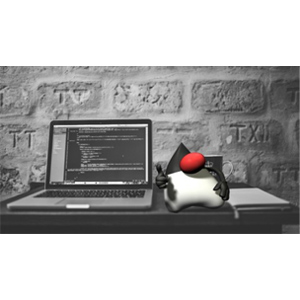 Java In-Depth Become a Complete Java Engineer!