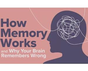 How Memory Works and Why Your Brain Remembers Wrong