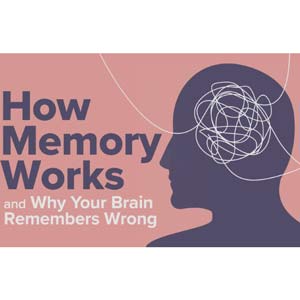 How Memory Works and Why Your Brain Remembers Wrong