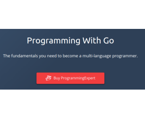 Programming With Go