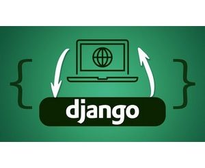 Python Django - The Practical Guide