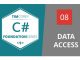 Foundation in C#: Data Access