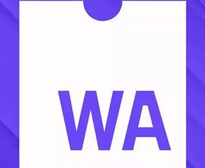 Web Assembly (Wasm)