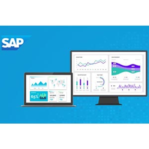 SAP ERP: Become an SAP S/4HANA Certified Consultant