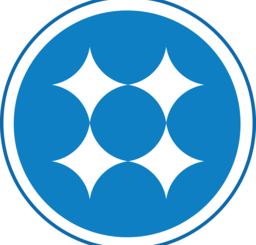 NVivo icon