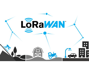 LoRa and LoRaWAN® for the Internet of Things
