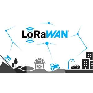 LoRa and LoRaWAN® for the Internet of Things