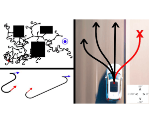 Autonomous Robots_ Nonholonomic Motion Planning Algorithms