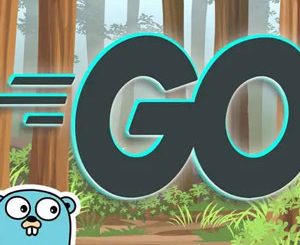 Go Programming (Golang): The Complete Developer's Guide