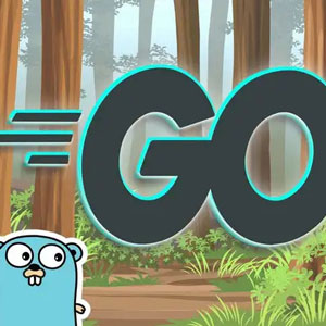 Go Programming (Golang): The Complete Developer's Guide