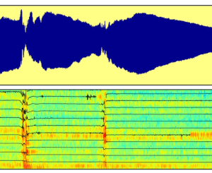 Audio Signal Processing for Music Applications