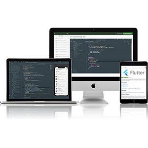 Flutter Developer Bootcamp