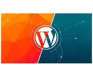 Wordpress Complete Web Design