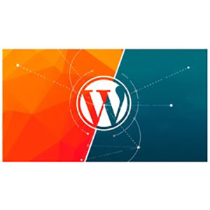 Wordpress Complete Web Design