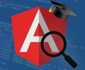 Angular Core Deep Dive - Beginner to Advanced (Angular 14)