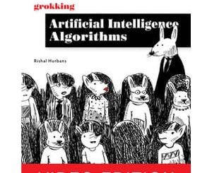 Grokking Artificial Intelligence Algorithms, Video Edition