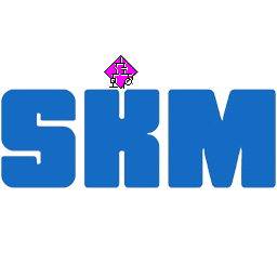 SKM Power*Tools icon