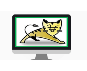 Apache Tomcat Server from Beginners to Advanced