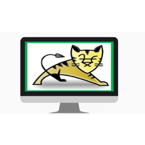 Apache Tomcat Server from Beginners to Advanced