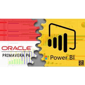 Primavera & Power BI Integration 