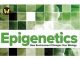 Epigenetics: How Environment Changes Your Biology