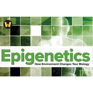 Epigenetics: How Environment Changes Your Biology