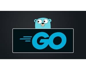 Go - The Complete Guide ( 2023)