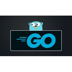 Go - The Complete Guide ( 2023)