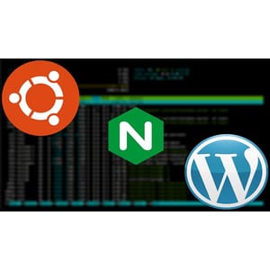 The Perfect Nginx Server - Ubuntu (22.04) Edition