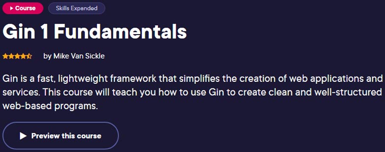 Gin 1 Fundamentals